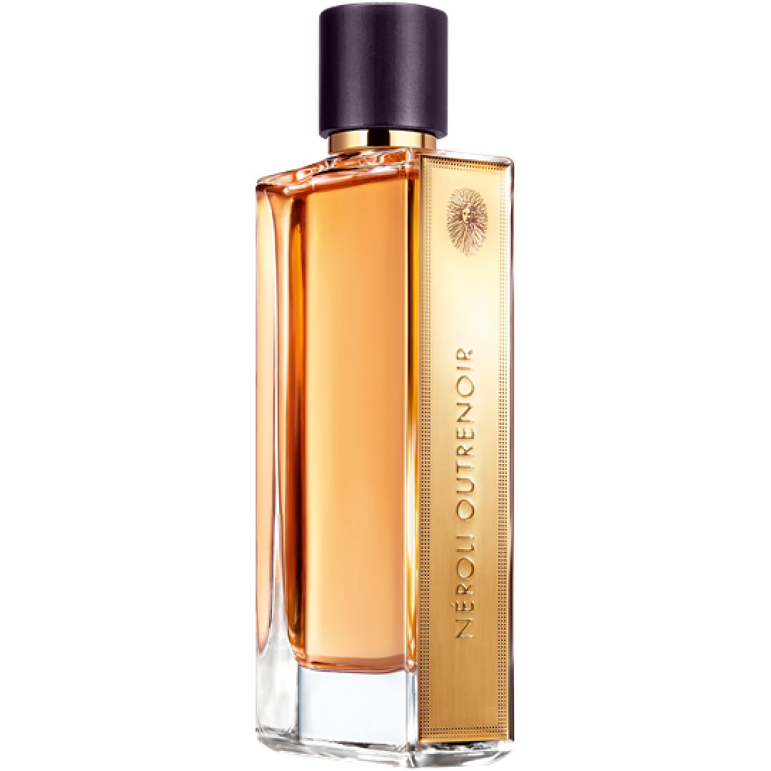 angelique noire perfume price